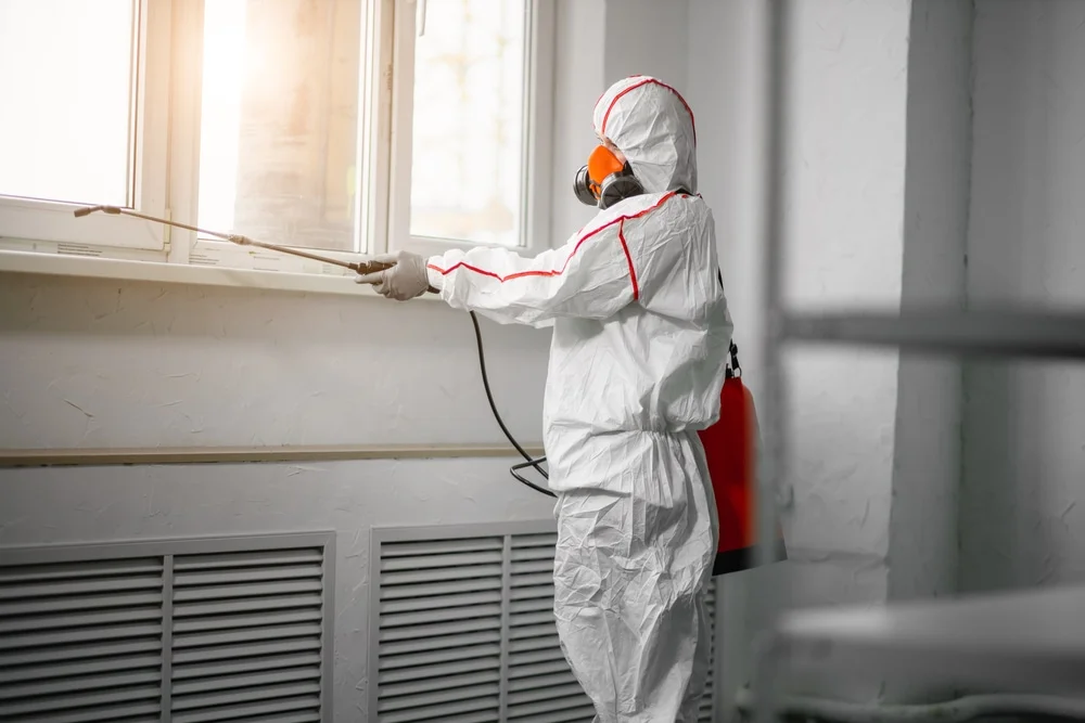Professional mold remediation services in White Marsh, MD